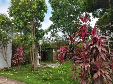 Fazenda/Sítio à venda, 800m² no Tranqueira, Altos