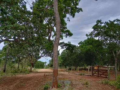 Lote/Terreno à venda, 20000m² no , Araçaí