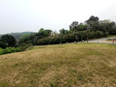 Lote/Terreno à venda, 428m² no Cruzeiro, Caxias do Sul