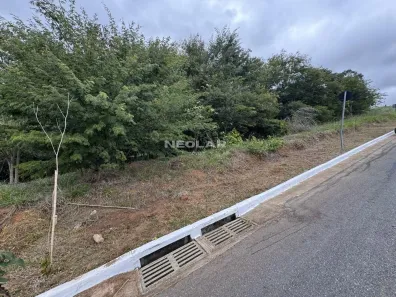 Lote/Terreno à venda, 405m² no Gran Park, Vespasiano