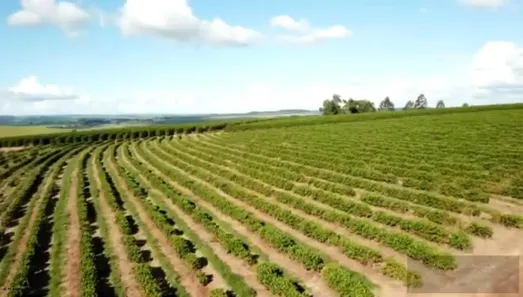 Fazenda/Sítio à venda, 62m² no Centro, Pirajuí