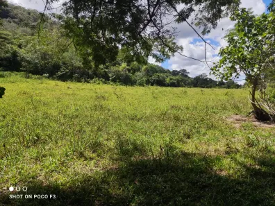 Casa com 4 Quartos à venda, 250000m² no , Buritis