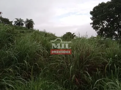 Fazenda/Sítio à venda, 484000m² no , Jaraguá
