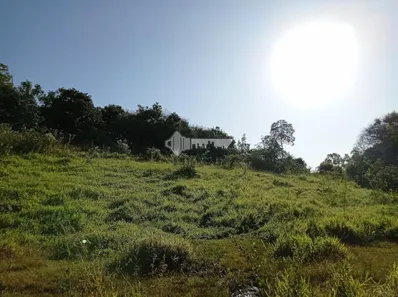 Fazenda/Sítio com 2 Quartos à venda, 80m² no Centro, Avaí