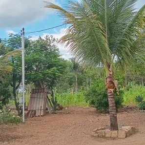 Fazenda/Sítio com 2 Quartos à venda, 20000m² no , Brasília