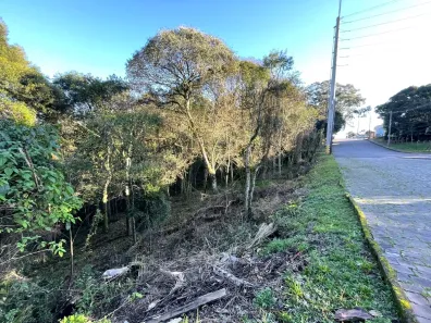 Lote/Terreno à venda, 389m² no Cruzeiro, Caxias do Sul