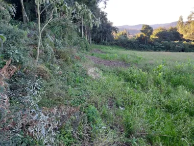 Fazenda/Sítio com 1 Quarto à venda, 20000m² no Monte Verde, Farroupilha