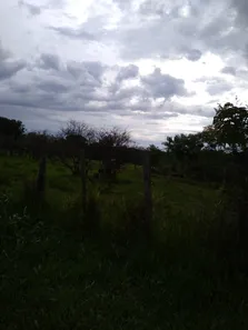 Fazenda/Sítio à venda, 49000m² no Área Rural de Valparaíso de Goiás, Valparaíso de Goiás