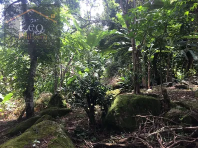 Fazenda/Sítio com 3 Quartos à venda, 7270m² no Área Rural de Macaé, Macaé