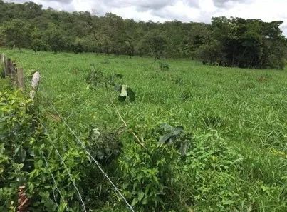 Fazenda/Sítio à venda, 3680000m² no , Cabeceira Grande