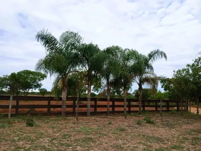 Lote/Terreno à venda, 20000m² no , Araçaí