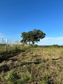 Lote/Terreno à venda, 1500m² no Recanto das Araras I, Palmas