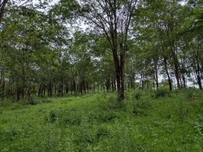 Lote/Terreno à venda, 20000m² no Zona Rural, Fortuna de Minas