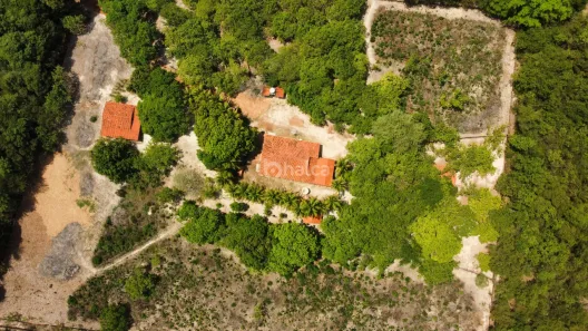 Fazenda/Sítio à venda, 11000m² no , Campo Maior