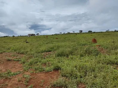 Fazenda/Sítio à venda, 2000m² no , Leopoldo de Bulhões