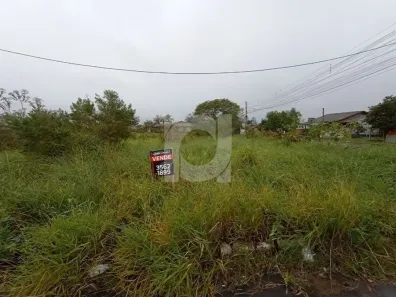 Lote/Terreno à venda, 480m² no Centro, Portão