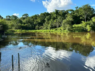 Fazenda/Sítio com 3 Quartos à venda, 2200000m² no , Silvânia