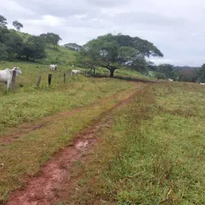 Fazenda/Sítio com 2 Quartos à venda, 100m² no , Itaberaí