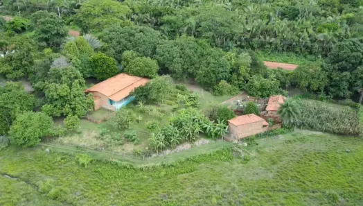 Fazenda/Sítio com 4 Quartos à venda, 12000000m² no Centro, Altos