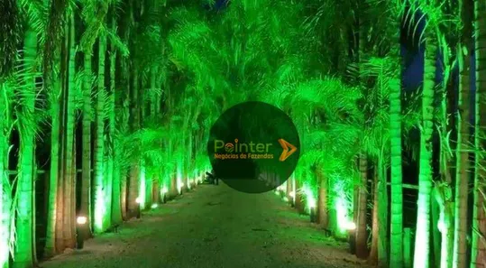Fazenda/Sítio com 4 Quartos à venda, 256520m² no Área Rural de Inhumas, Inhumas