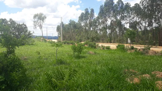 Lote/Terreno à venda, 20000m² no , Paraopeba