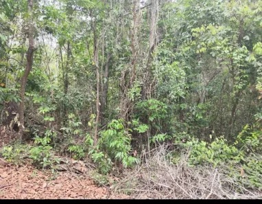 Fazenda/Sítio à venda, 2000m² no , Itaberaí