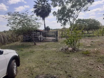 Fazenda/Sítio com 3 Quartos à venda, 10m² no , José de Freitas