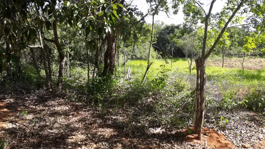 Lote/Terreno à venda, 20000m² no , Araçaí