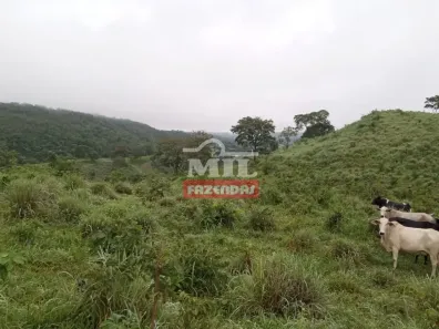 Fazenda/Sítio à venda, 484000m² no , Jaraguá