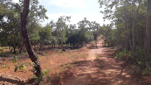 Lote/Terreno à venda, 20000m² no Cordisburgo, Cordisburgo