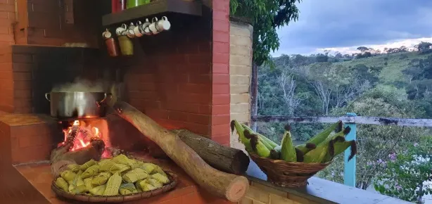 Fazenda/Sítio com 3 Quartos à venda, 3024000m² no , Anápolis