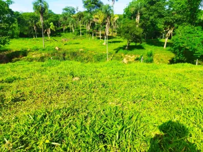 Fazenda/Sítio com 2 Quartos à venda, 210000m² no Padre Bernardo, Padre Bernardo