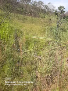 Fazenda/Sítio à venda, 34000m² no Taquara, Brasília
