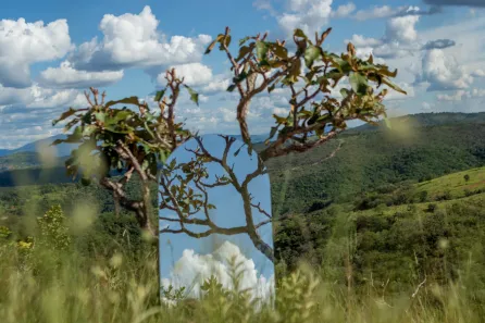 Lote/Terreno à venda, 20000m² no Lagoa Mansões, Lagoa Santa