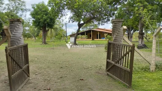 com 3 Quartos à venda, 988700m² no , José de Freitas