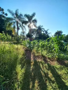 Lote/Terreno à venda, 999m² no Bela Vista, Caxias do Sul