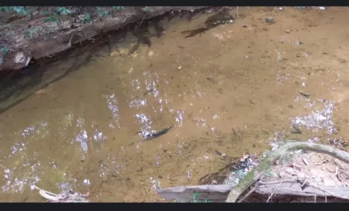 Fazenda/Sítio à venda, 385000m² no Palmital de Minas, Cabeceira Grande