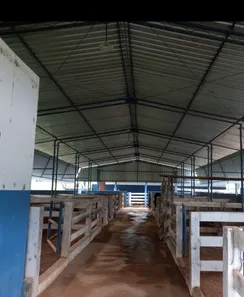 Fazenda/Sítio à venda no , Buritis