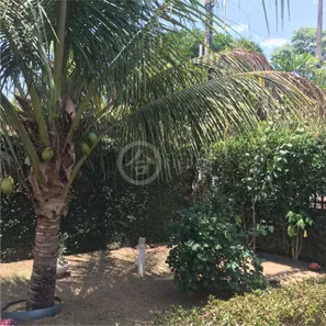 Casa de Condomínio com 3 Quartos à venda, 270m² no Plano Diretor Norte, Palmas
