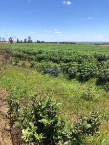 Fazenda/Sítio à venda, 6320000m² no Centro, Echaporã