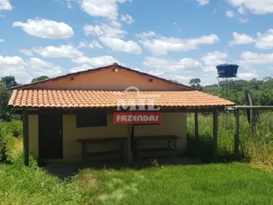 Fazenda/Sítio à venda, 20000m² no , Silvânia