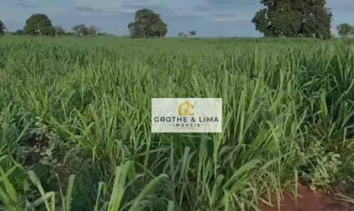 Fazenda/Sítio com 5 Quartos à venda, 800m² no Padre Bernardo, Padre Bernardo