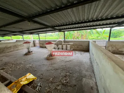 Fazenda/Sítio à venda, 500m² no Área Rural de Inhumas, Inhumas