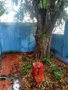 Casa com 4 Quartos à venda, 300m² no Roma, Salvador