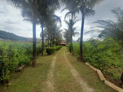 Fazenda/Sítio com 6 Quartos para alugar, 500m² no Várzea, Ibirité