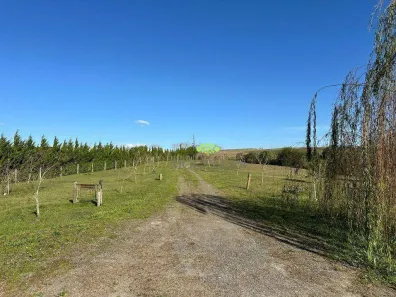 Fazenda/Sítio com 3 Quartos para venda ou aluguel, 559m² no , Balsa Nova