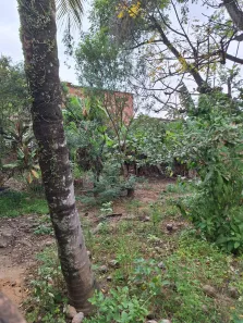 Fazenda/Sítio com 3 Quartos à venda, 156m² no Campo Grande, Rio de Janeiro