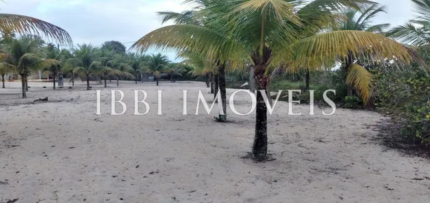 Lote/Terreno à venda, 45000000m² no , Belmonte