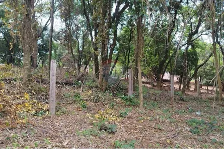 Lote/Terreno à venda, 1230m² no Chácaras do Pinhal (Pinhal), Cabreúva