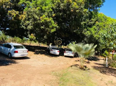 Fazenda/Sítio com 3 Quartos à venda, 8088m² no , São Luiz do Norte